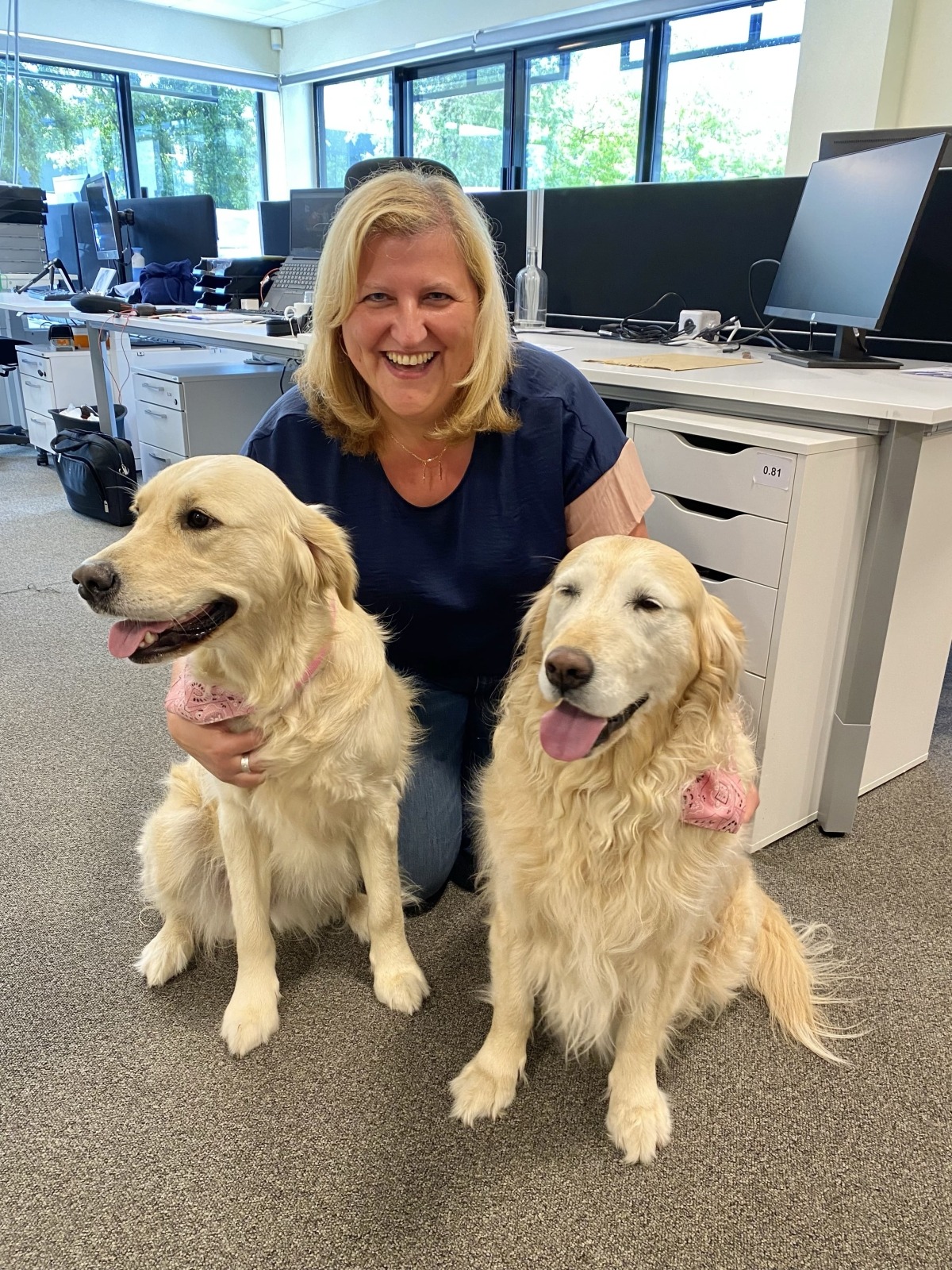 Bring your dog to work day